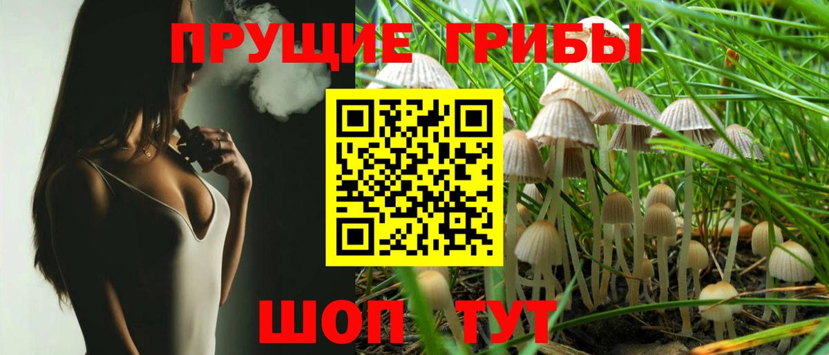 Галлюциногенные грибы Psilocybine cubensis  Вход с VPN  Черногорск 